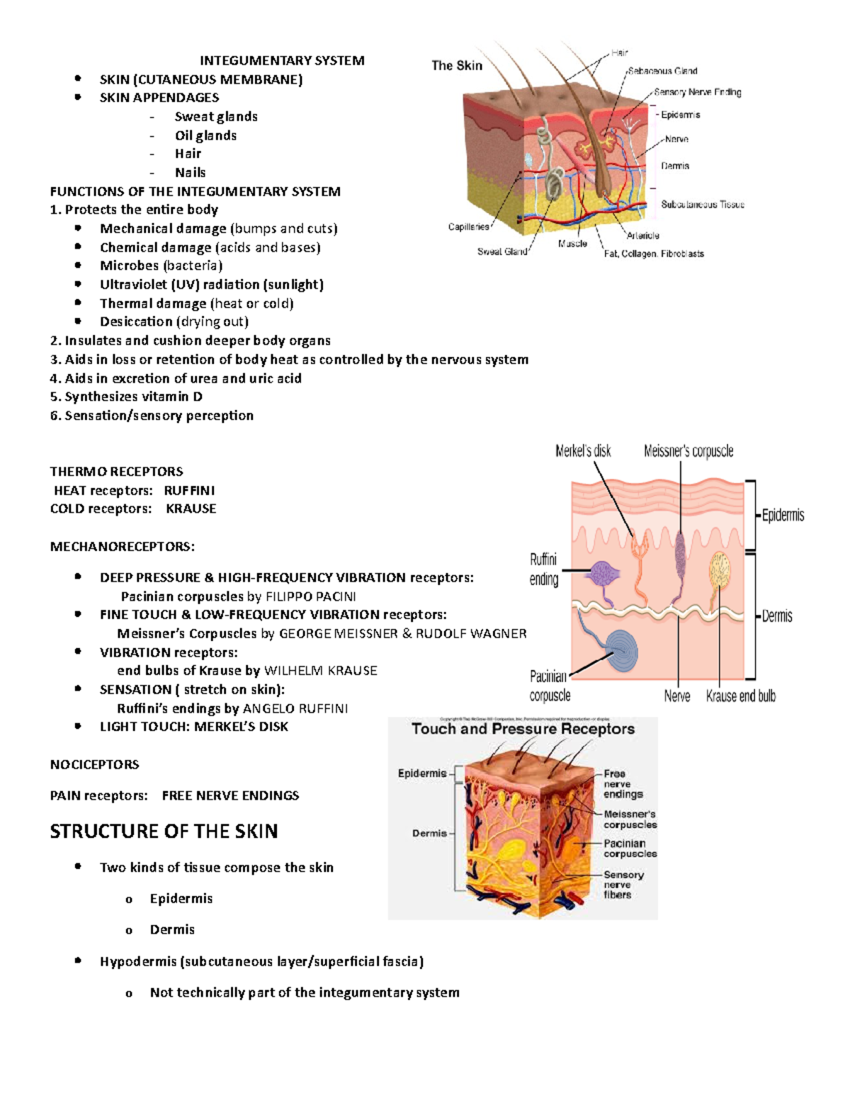 Anatomy and Physiology Reviewer (Integumentary and Skeletal ...