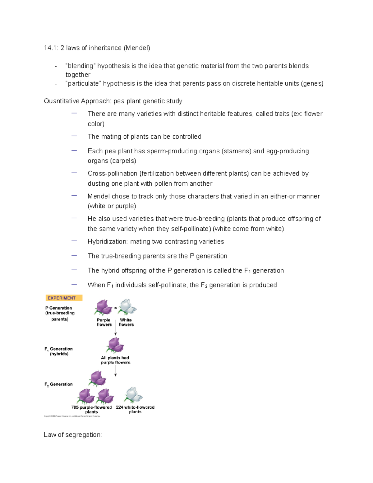 biology-chapter-14-14-2-laws-of-inheritance-mendel-blending