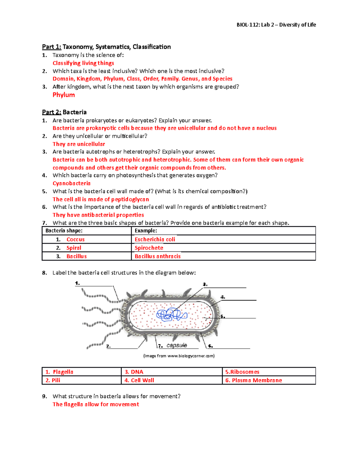 biol-112-lab-2-activity-worksheet-diversity-of-life-part-1-taxonomy