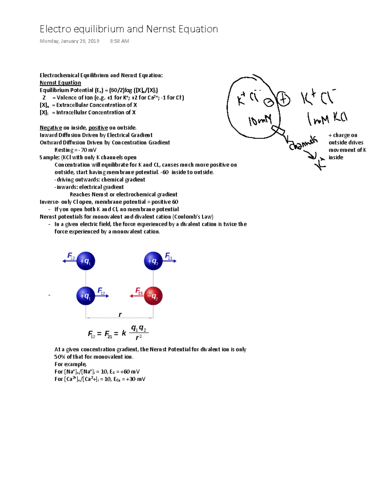 1 Electro Equilibrium And Nernst Equation Electrochemical Equilibrium And Nernst Equation