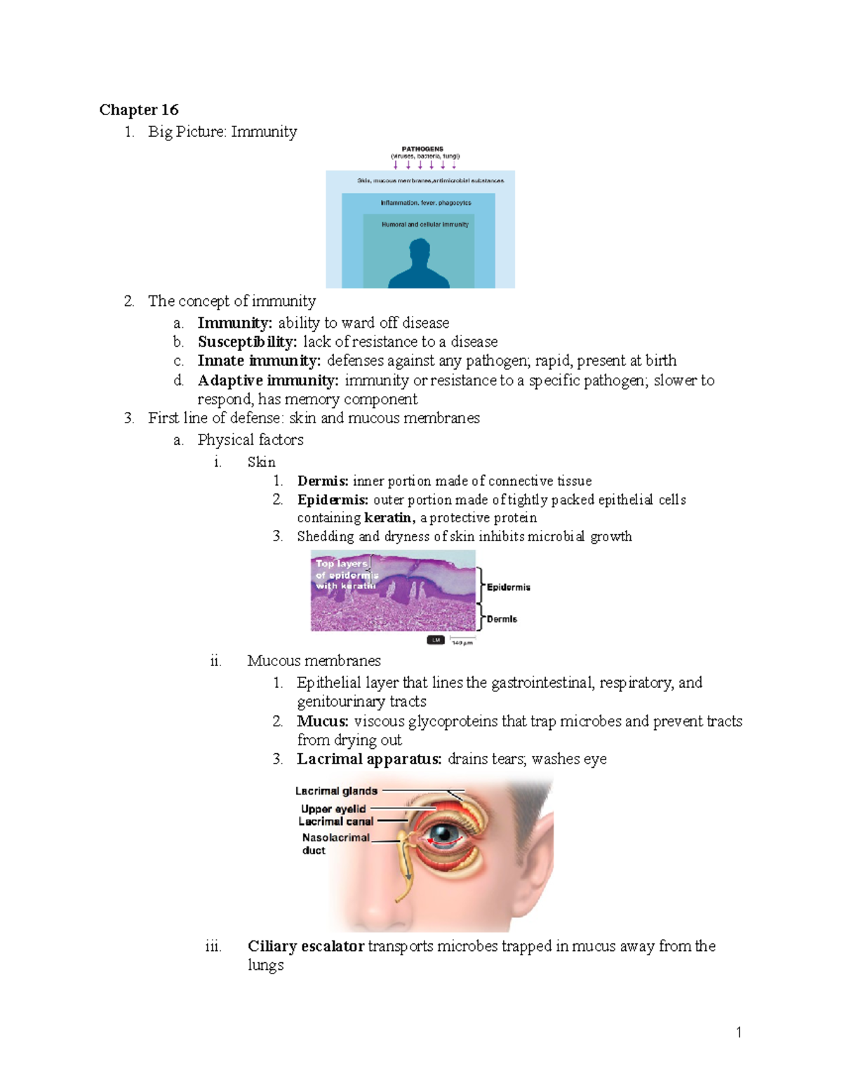 NRSG 205 - Microbiology Week 9 - Chapter 16 Big Picture: Immunity The ...