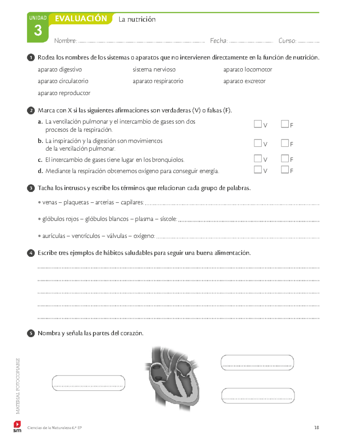 Evaluación Tema 3 - EXAMENES CIENCIAS DE LA NATURALEZA SANTILLANA 4 DE ...