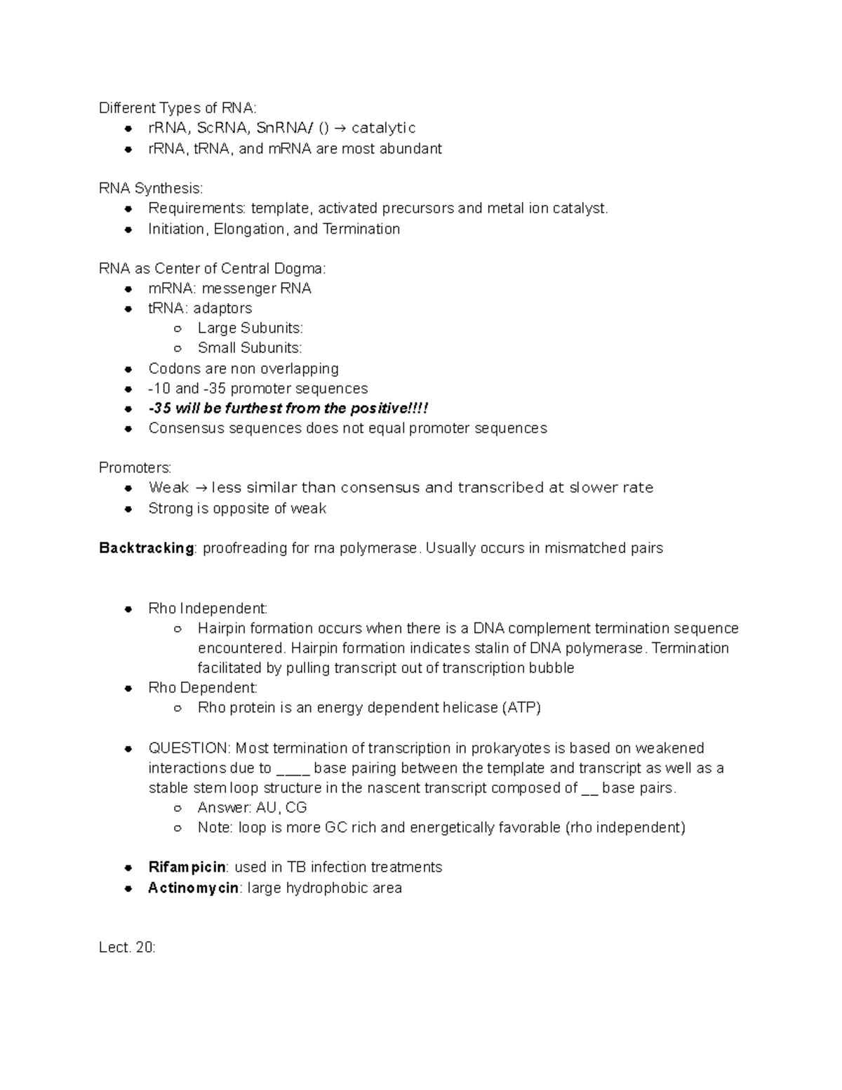 Master Gene Expression & Translation With This Pogil Hack - x5kql0j