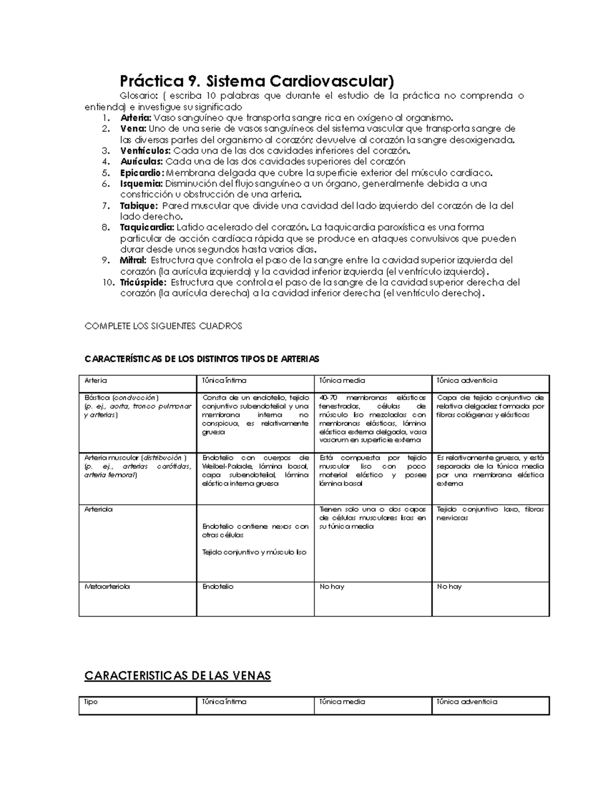 Y de venas las tipos arterias caracteristicas y