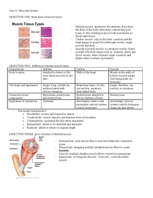 UNIT 13 - Endocrine System - Part 1 - 1 Unit 13 – The Endocrine System ...