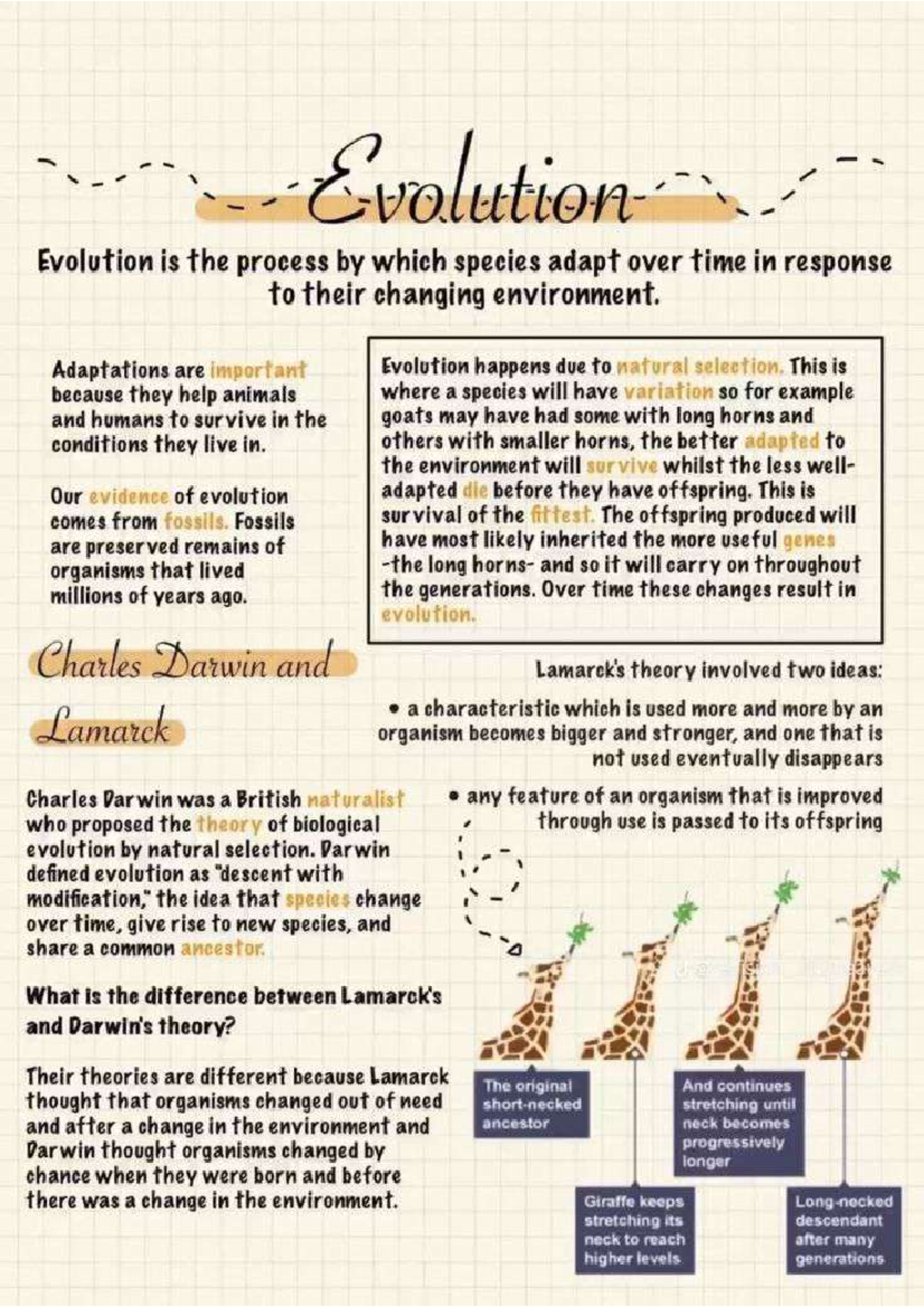 Download - evolution notes written - Evolution Evolution is the process ...