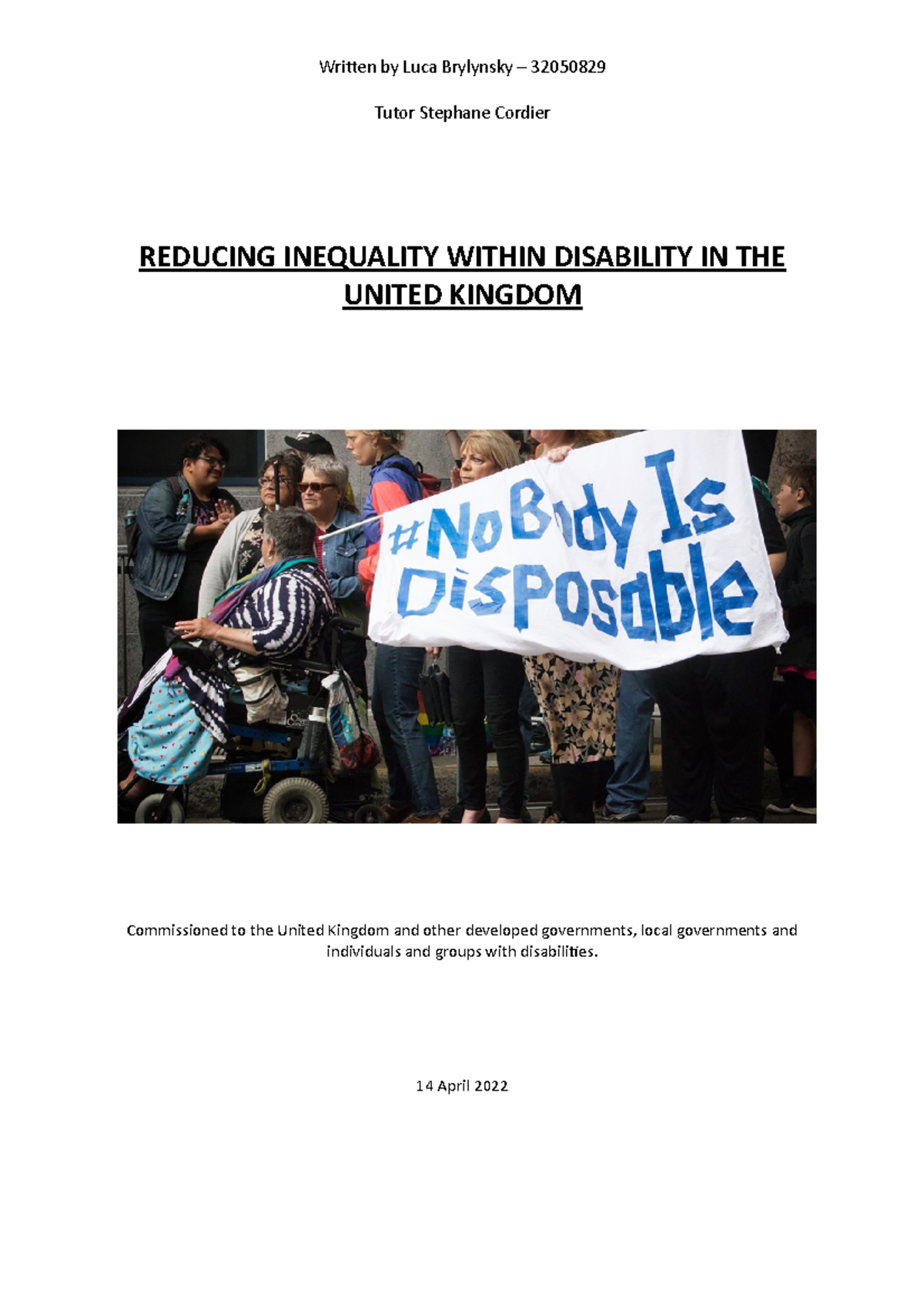 Report final - REDUCING INEQUALITY WITHIN DISABILITY IN THE UNITED ...