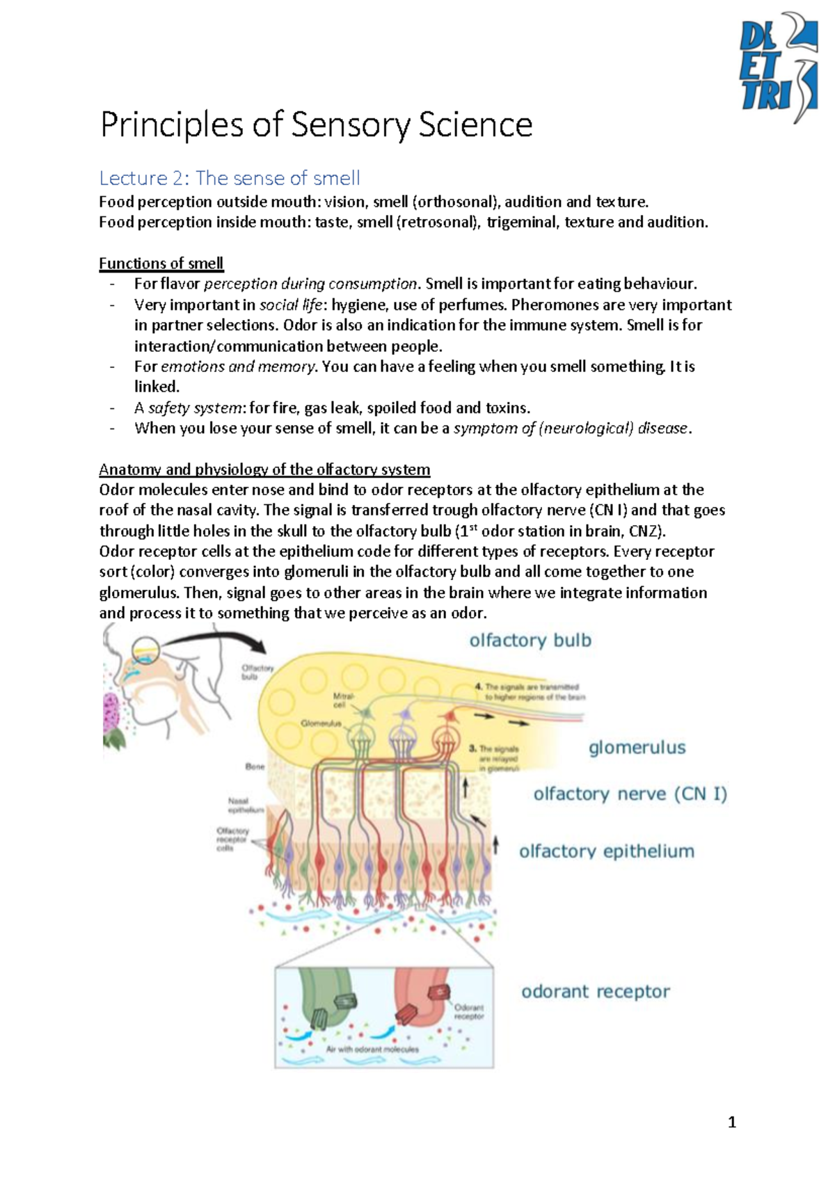 Di Et Tri Summary HNH 30506 Principles Of Sensory Science - Principles ...