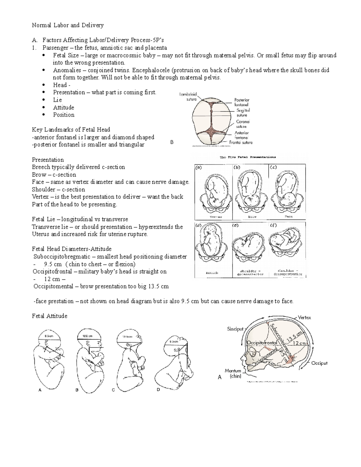 Intrapartum Lecture - Normal Labor And Delivery A. Factors Affecting ...