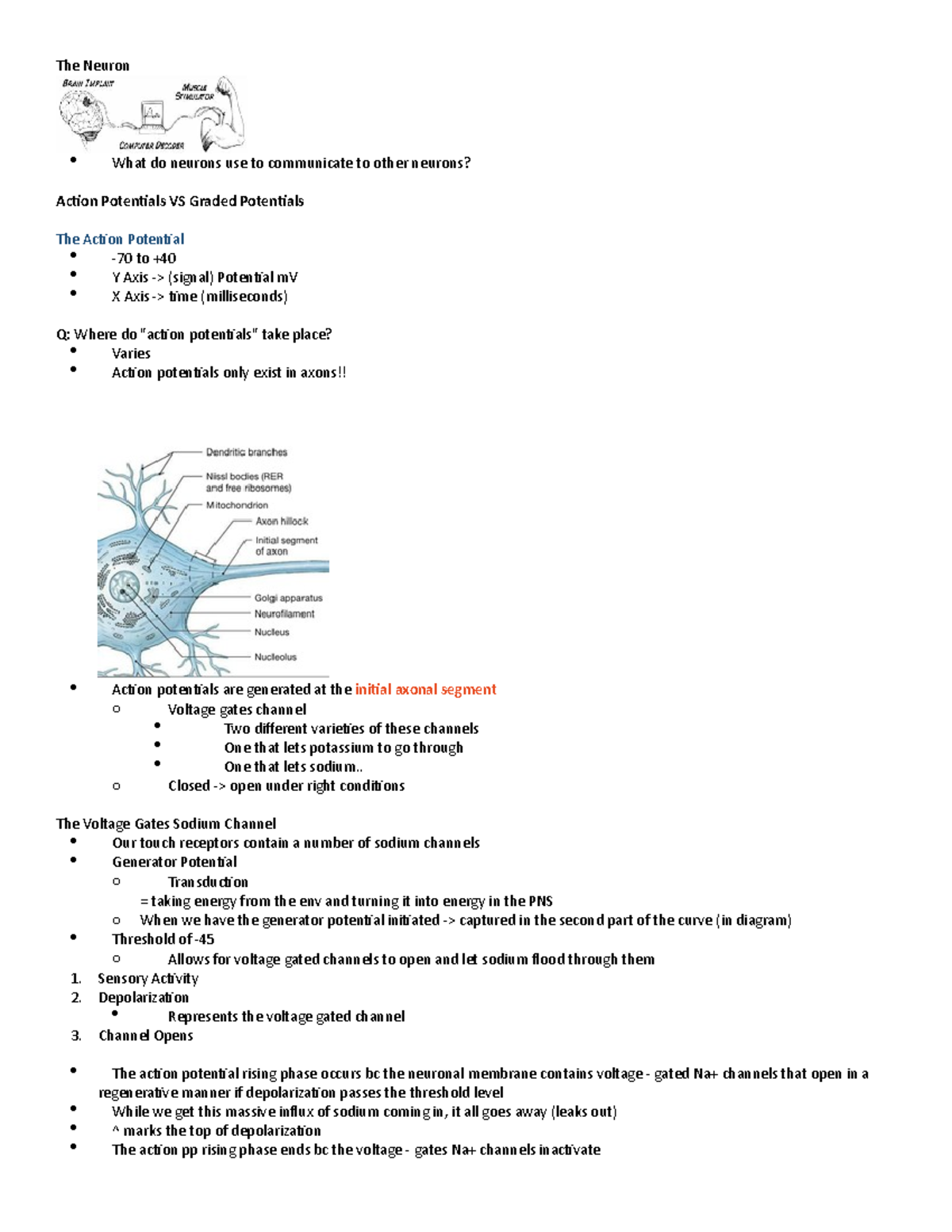 PSY290 Lecture 4 - Notes - The Neuron What do neurons use to ...