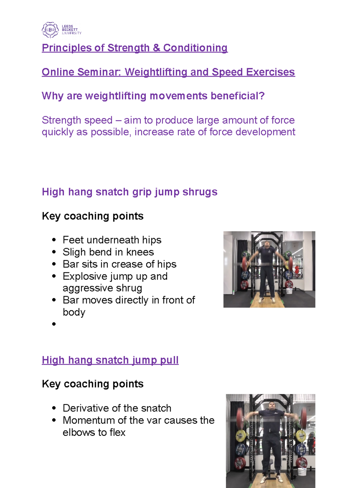 Seminar 3. Principles of Strength Online Seminar Worksheet - Principles ...