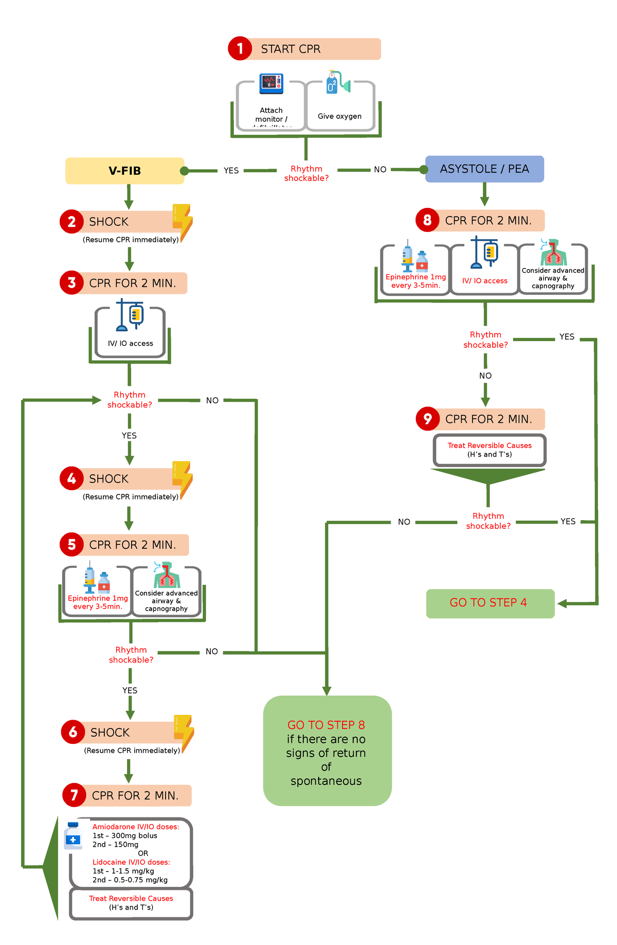 Acls Algorithm - Start Cpr V-fib Asystole   Pea Shock (resume Cpr 