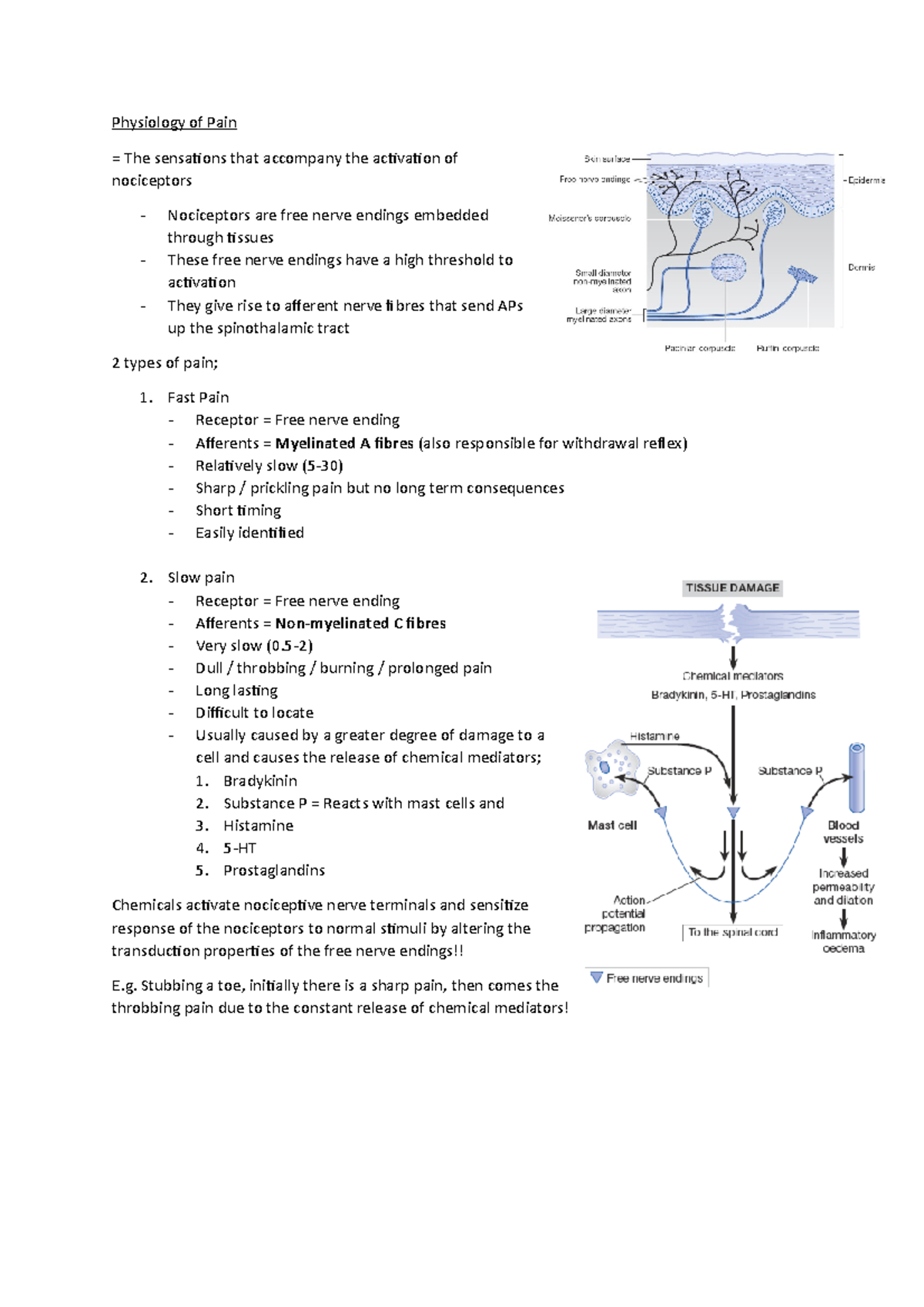 Pain information sheet - Physiology of Pain = The sensations that ...