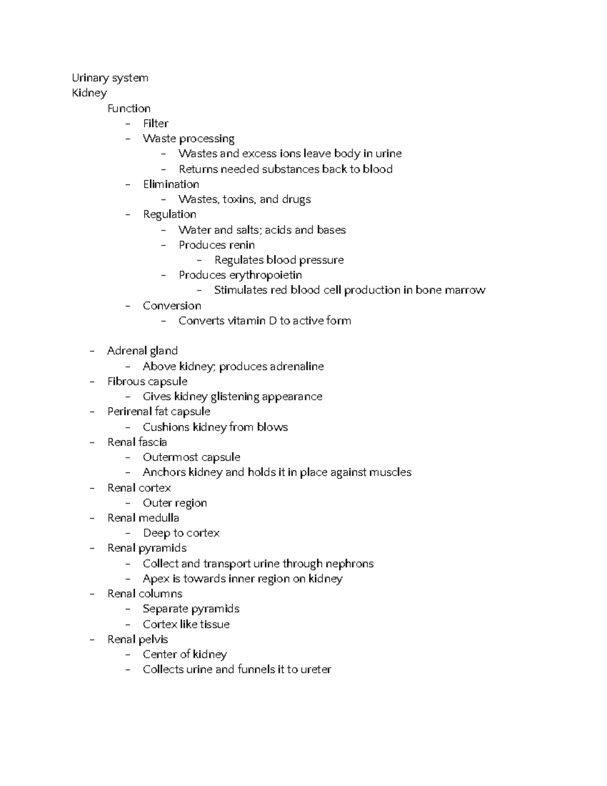 Lab study guide - Urinary system Kidney Function - Filter - Waste ...