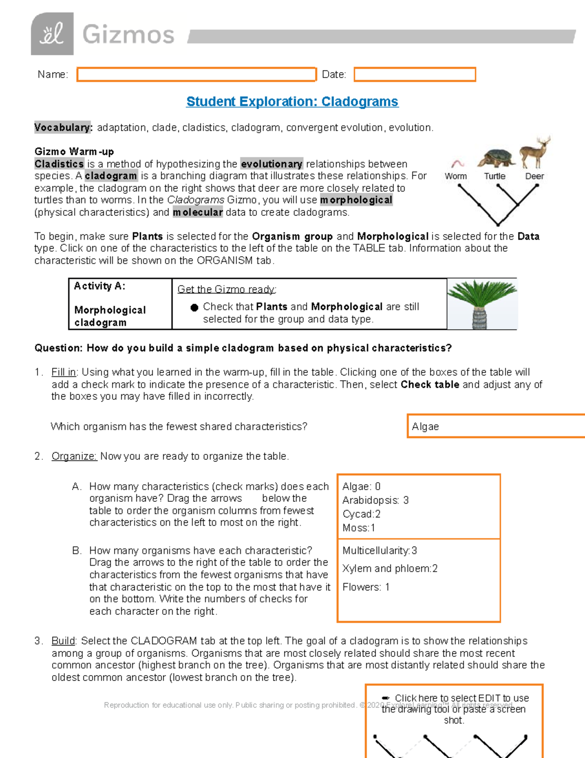 alex-cebanyos-gizmo-cladograms-14421220-name-date-student