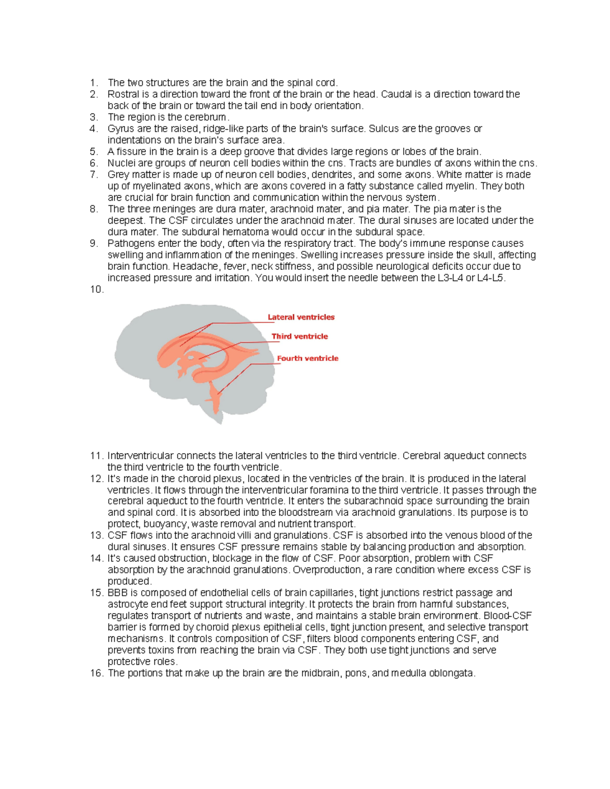 Review Guide 11 - The two structures are the brain and the spinal cord ...