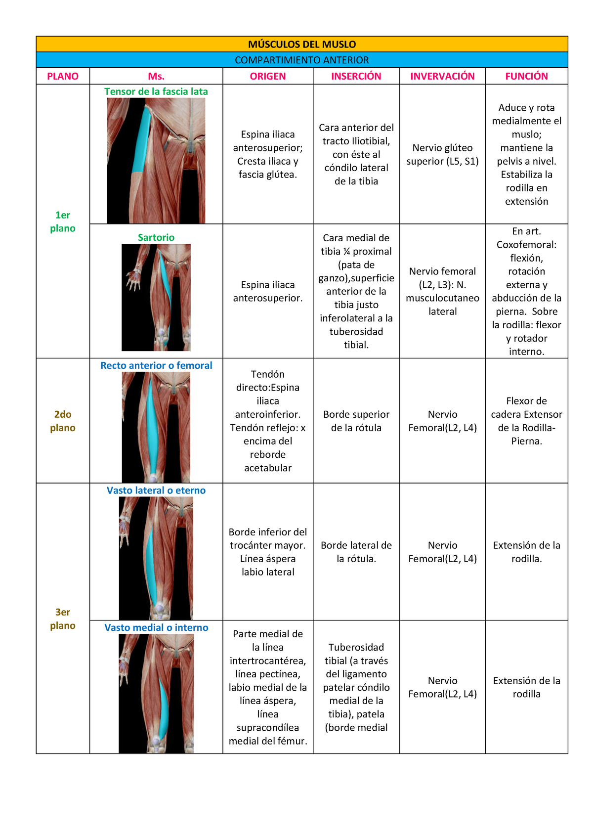 Cuadros MÚ Sculos Miembro Inferior MSCULOS DEL MUSLO COMPARTIMIENTO ANTERIOR PLANO Ms ORIGEN