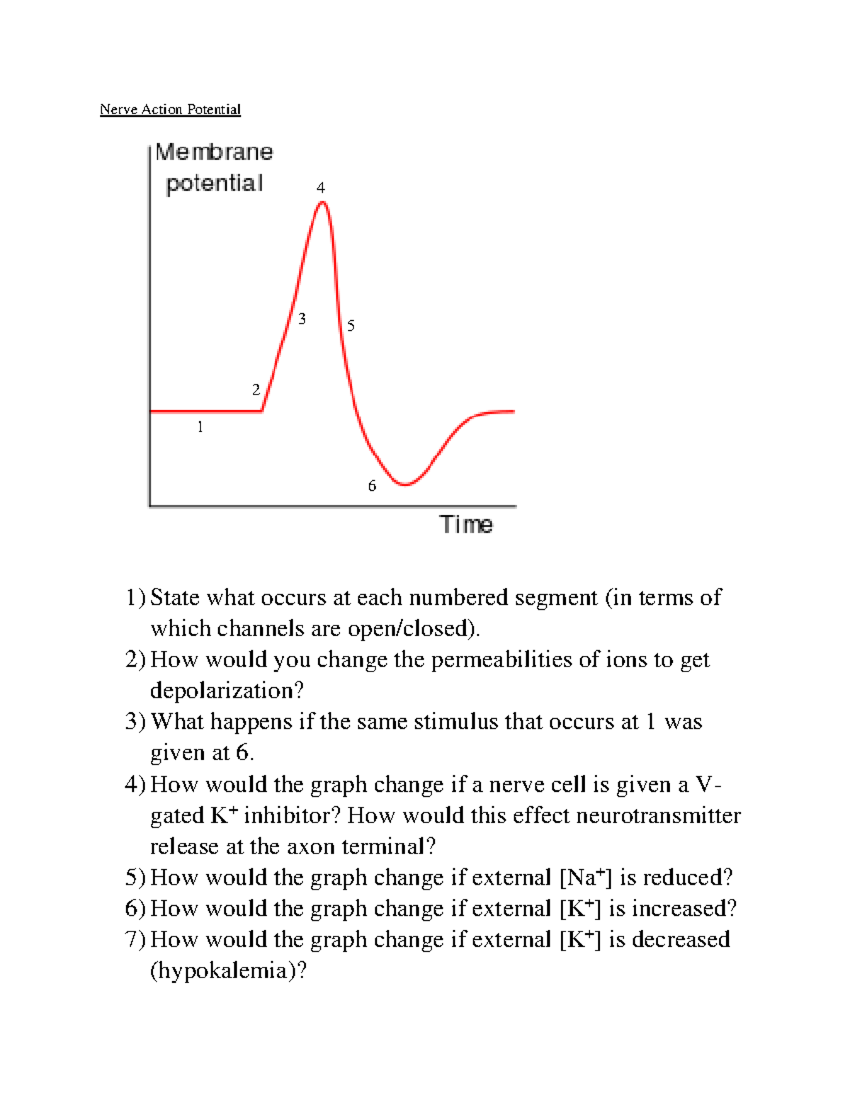 Action Potentials and Muscle Contraction Review Nerve Action