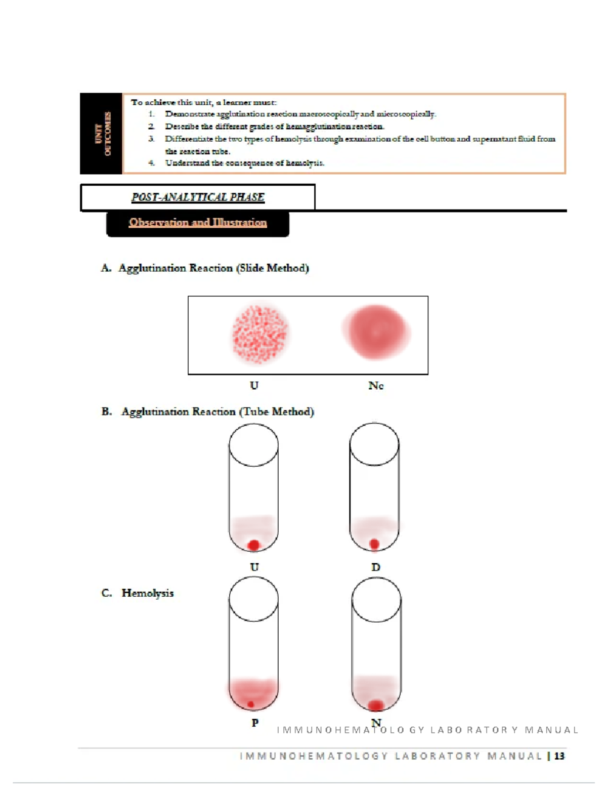 Rbc Agglutination Test