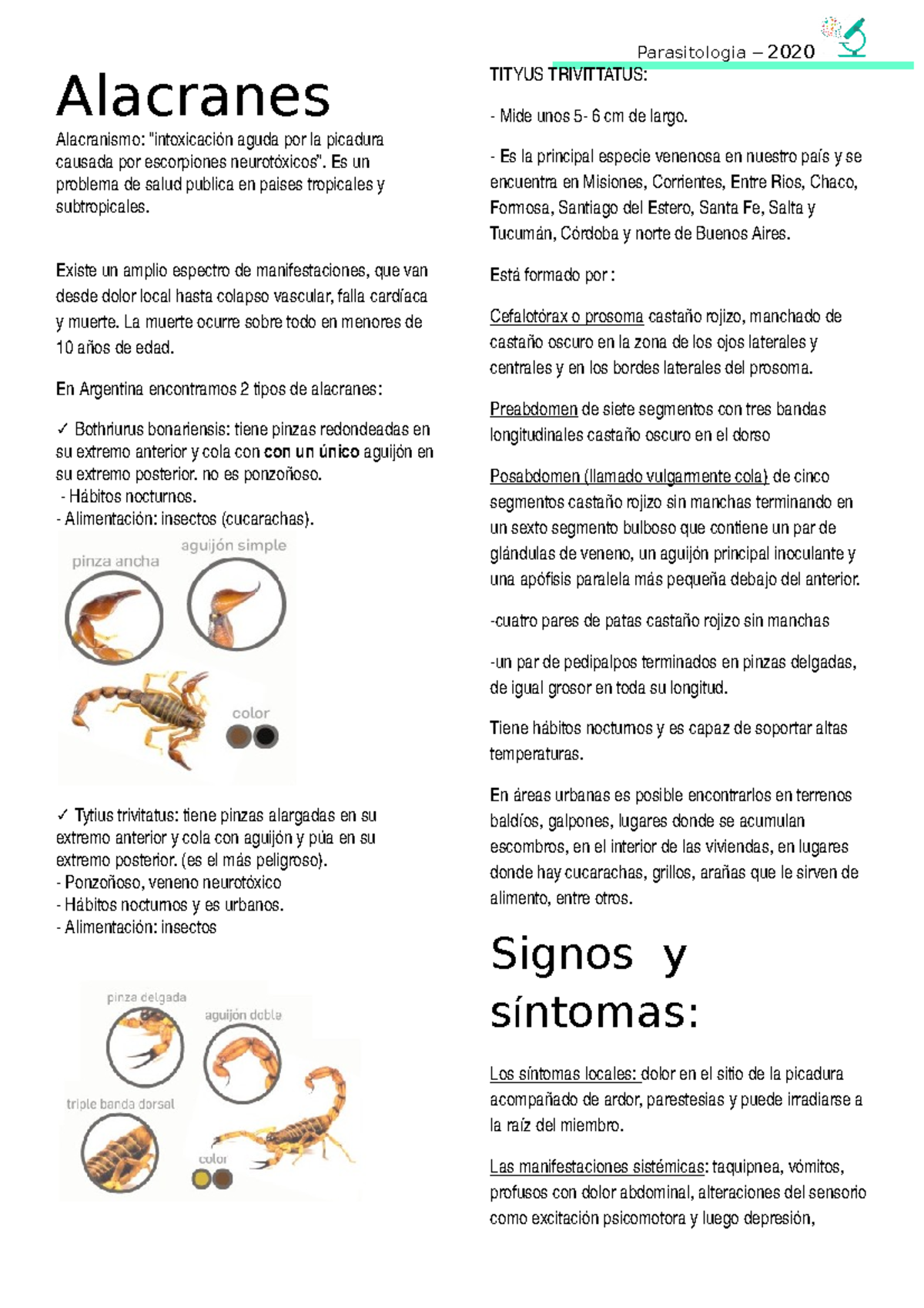 Alacranes Resumen Unlar Studocu