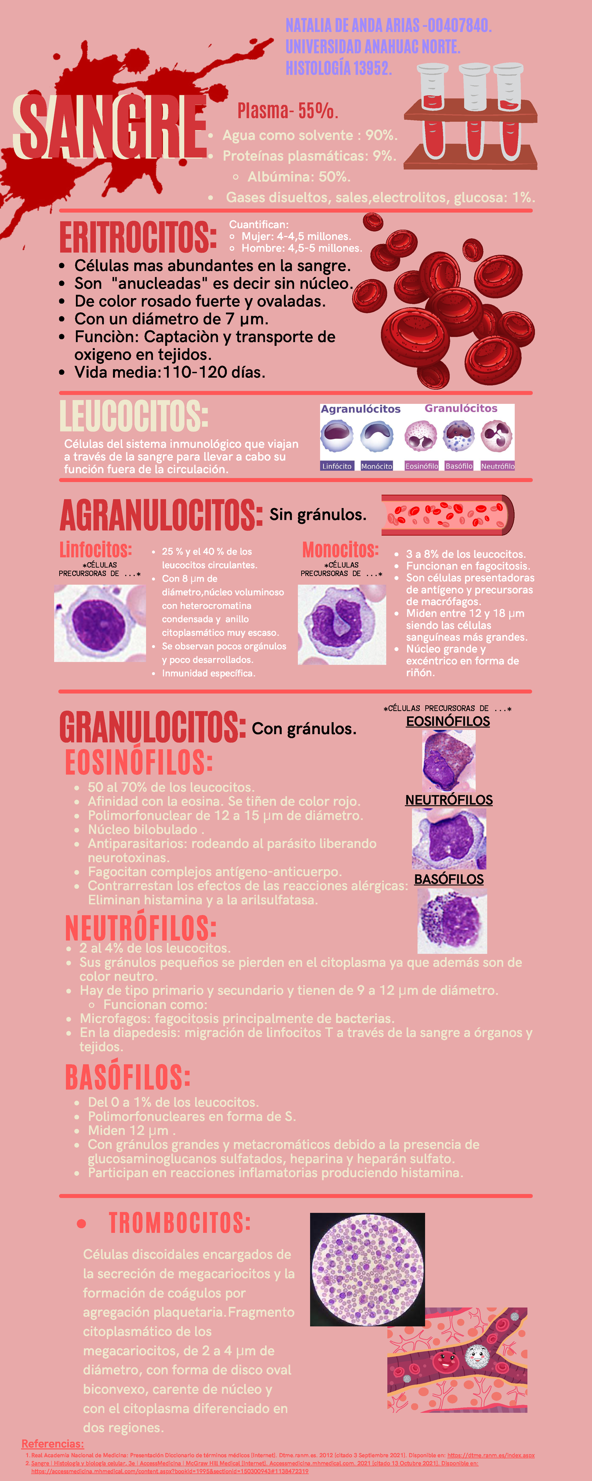Sangre Y Hematopoyesis Infografía De Repaso Células Del Sistema Inmunológico Que Viajan A 9781