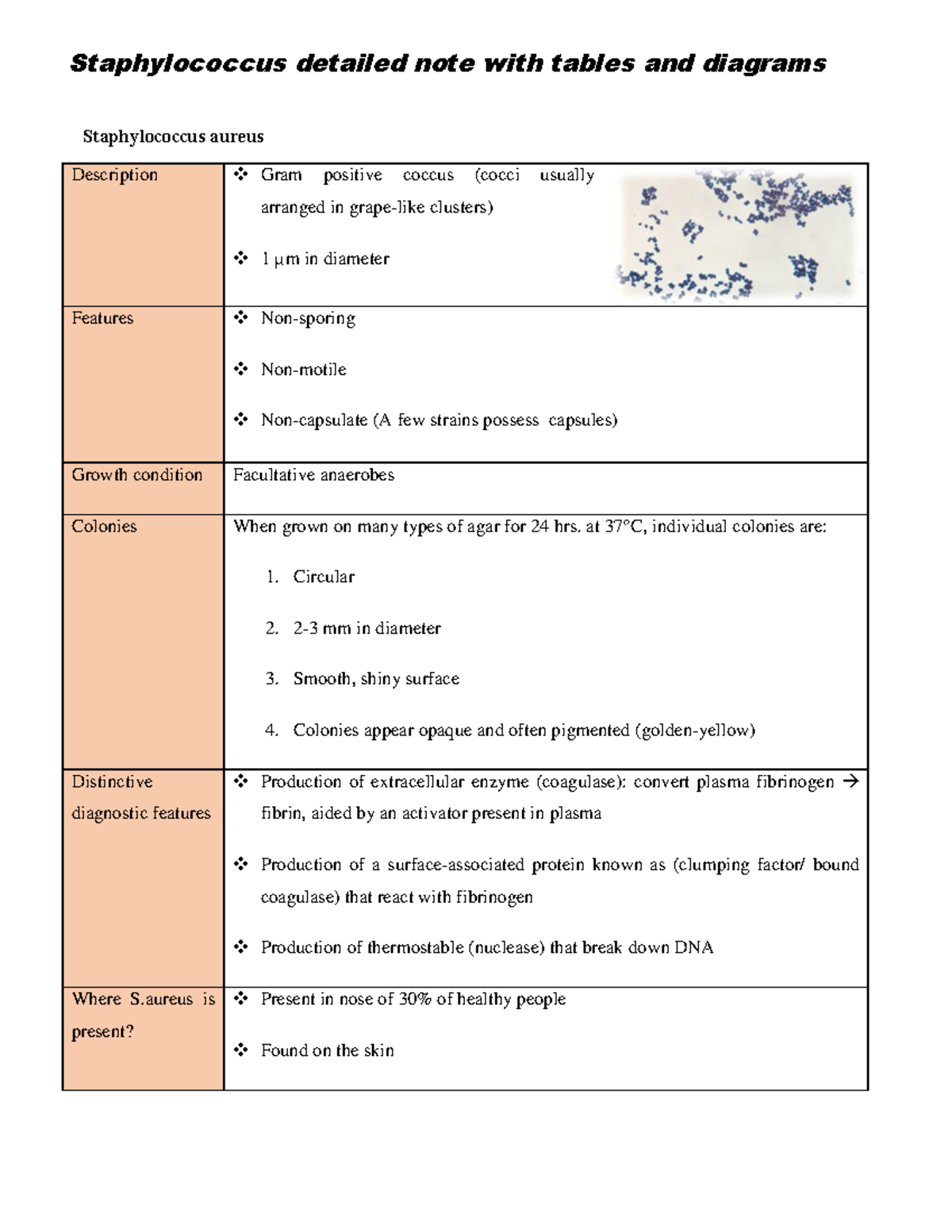 Staphylococcus Aureus Detailed Note With Tables And Diagrams