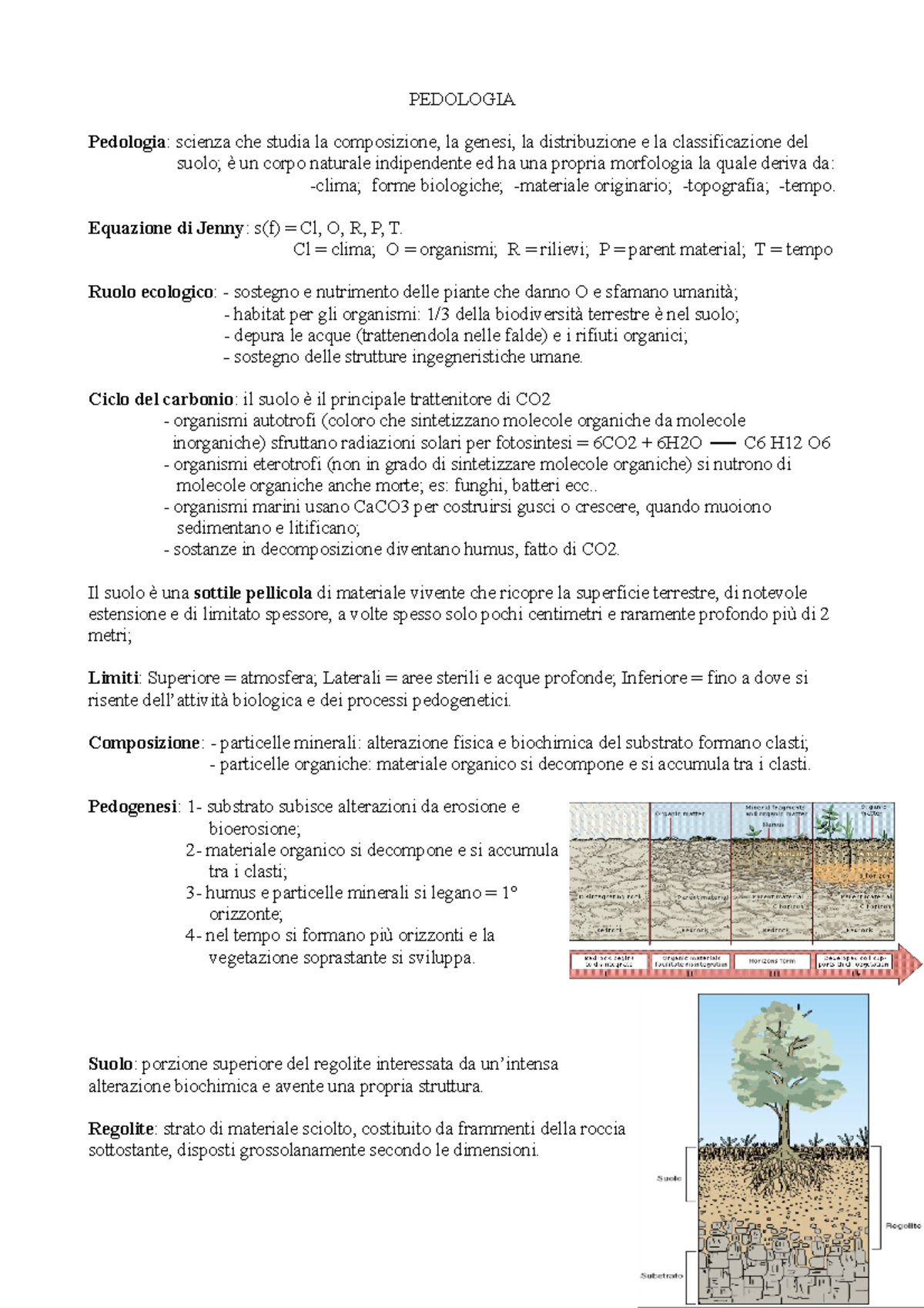 sintetizzano il processo di datazione del carbonio