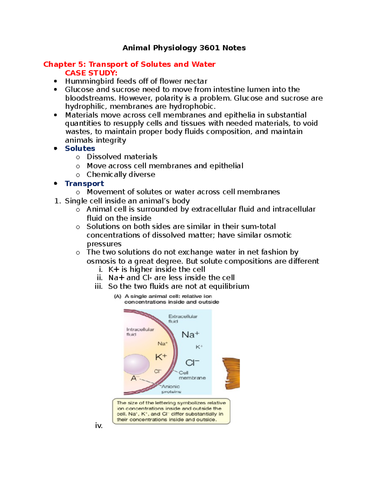 Animal Physiology 3601 Notes - Animal Physiology 3601 Notes Chapter 5 