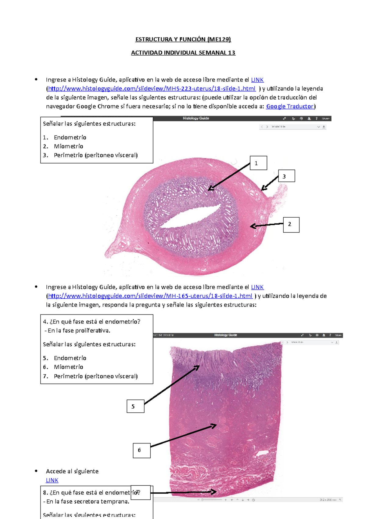Ey F Tarea Sem13 - ESTRUCTURA Y FUNCIÓN (ME129) ACTIVIDAD INDIVIDUAL ...