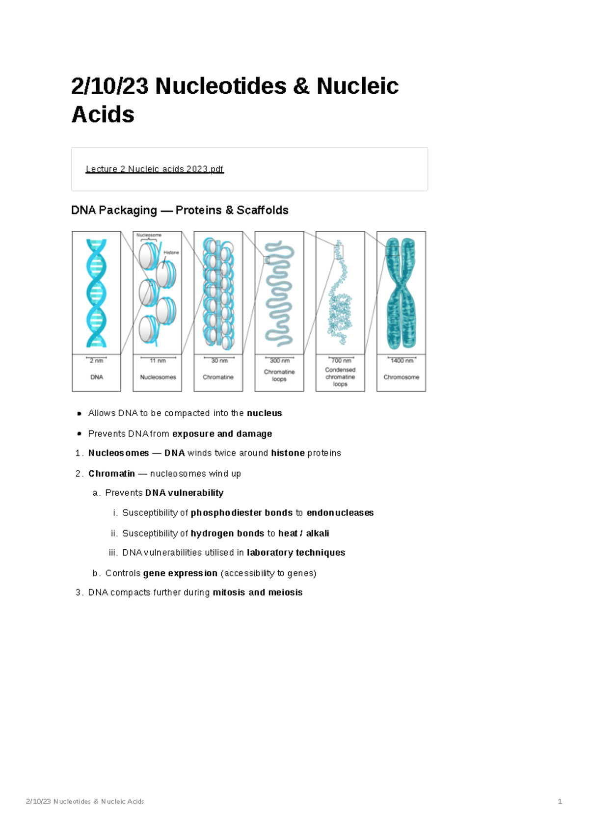 Week 1 Nucleotides & Nucleic Acids 2 / 10 / 23 Nucleotides & Nucleic