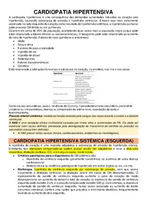 Corte transversal dos ventrículos, com evidente hipertrofia do