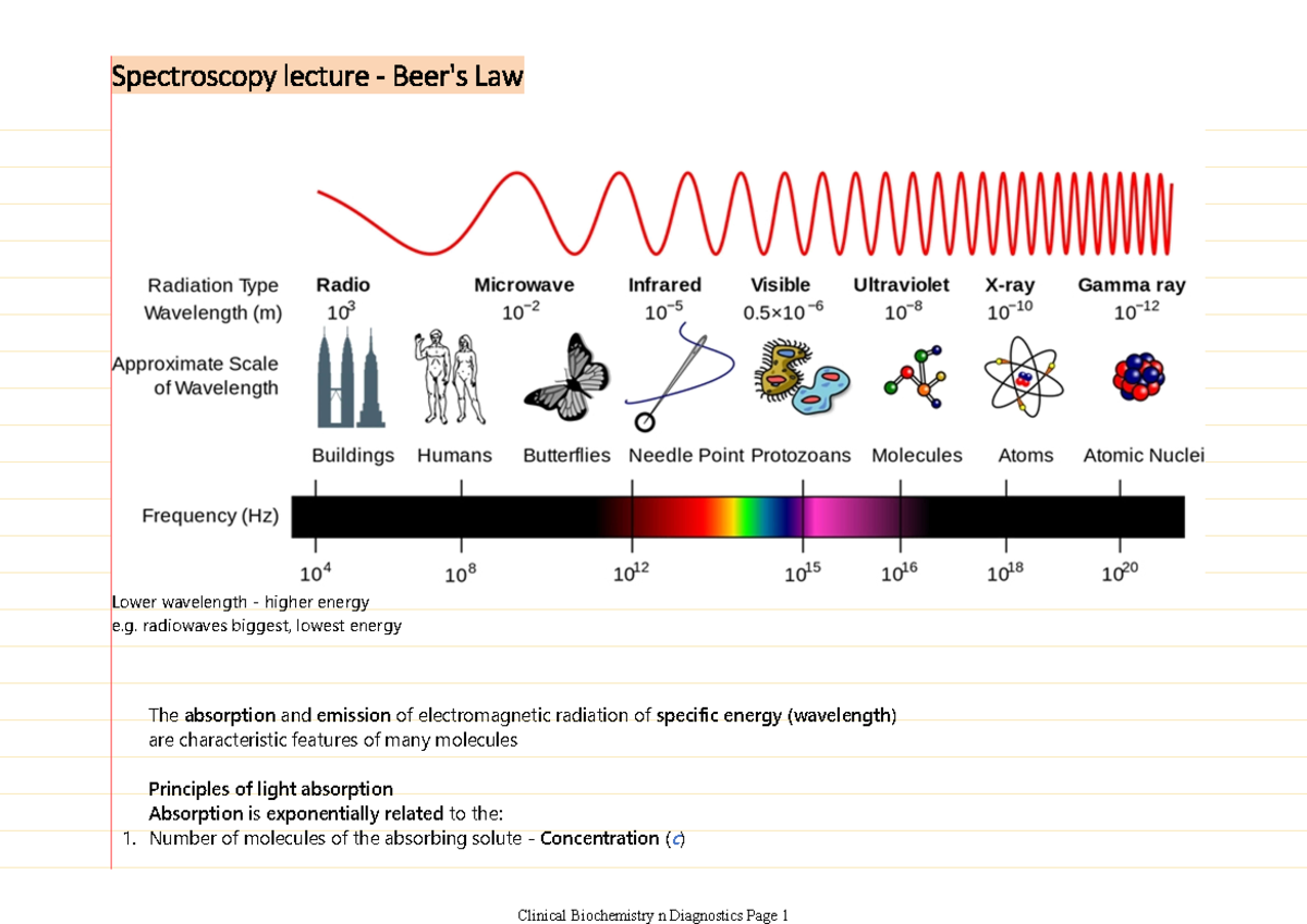 Beer's Law With Jon Whitehead Lower wavelength higher energy e