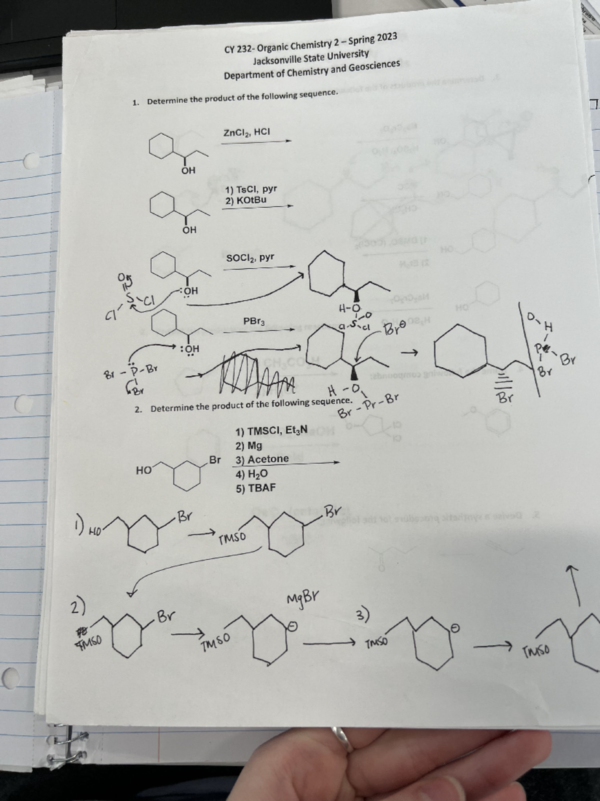 Organic Chemistry Notes - CY 231 - CY Organic Chemist Jacksonville ...