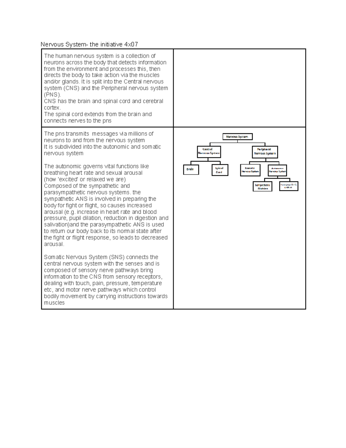 Biopsychology AQA A level Psychology AO1 AO3 - Google Docs - Nervous ...