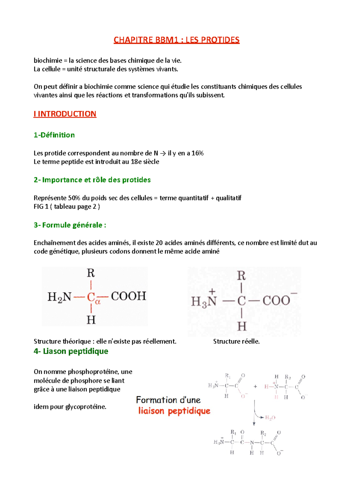 1 - BBM1 jean perrin - CHAPITRE BBM1 : LES PROTIDES biochimie = la ...