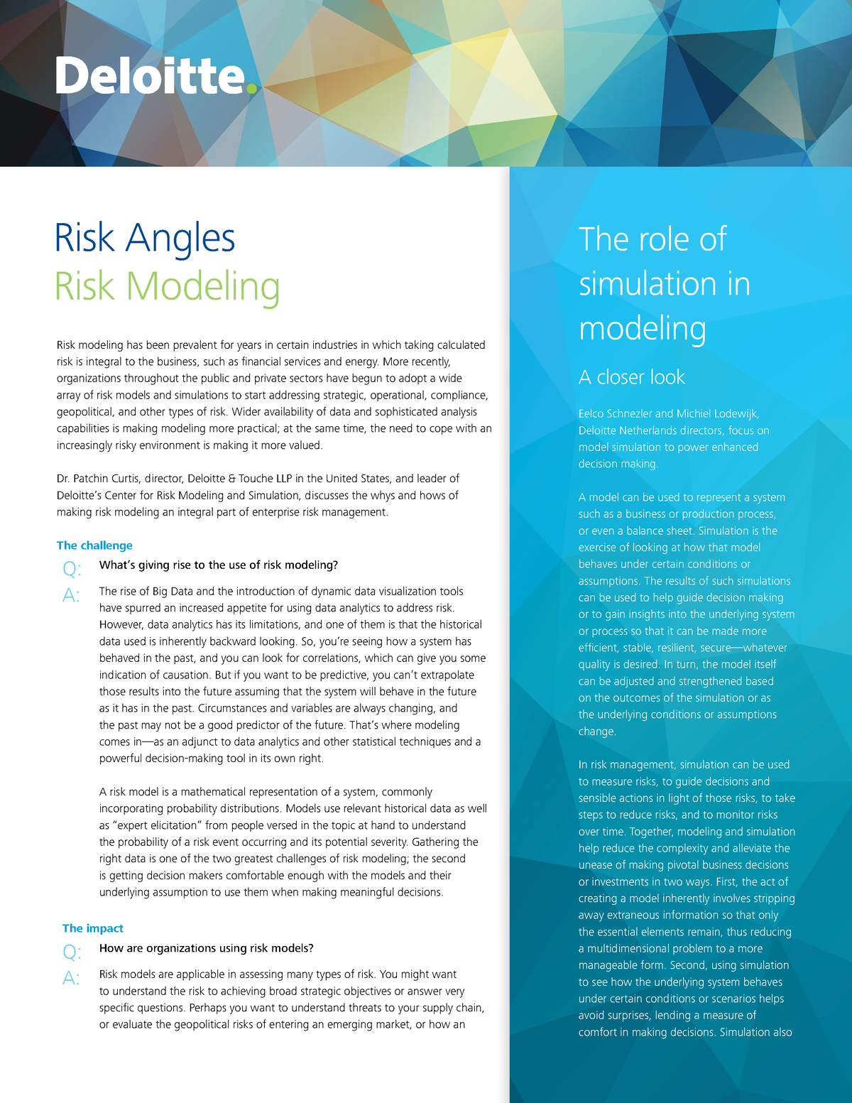 deloitte risk advisory case study