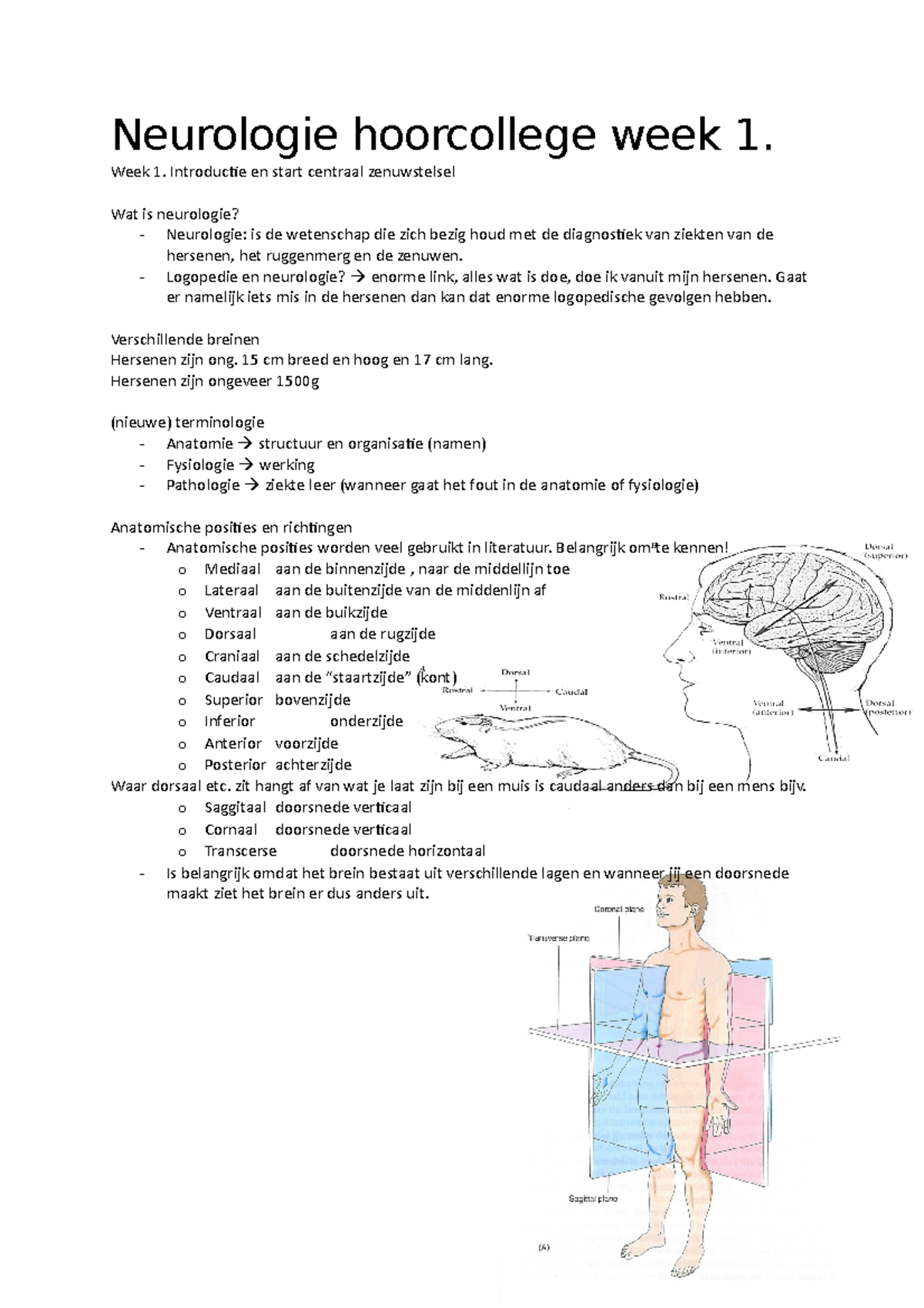 Alle Hoorcolleges - College-aantekeningen 1 Tot 6 - Neurologie ...