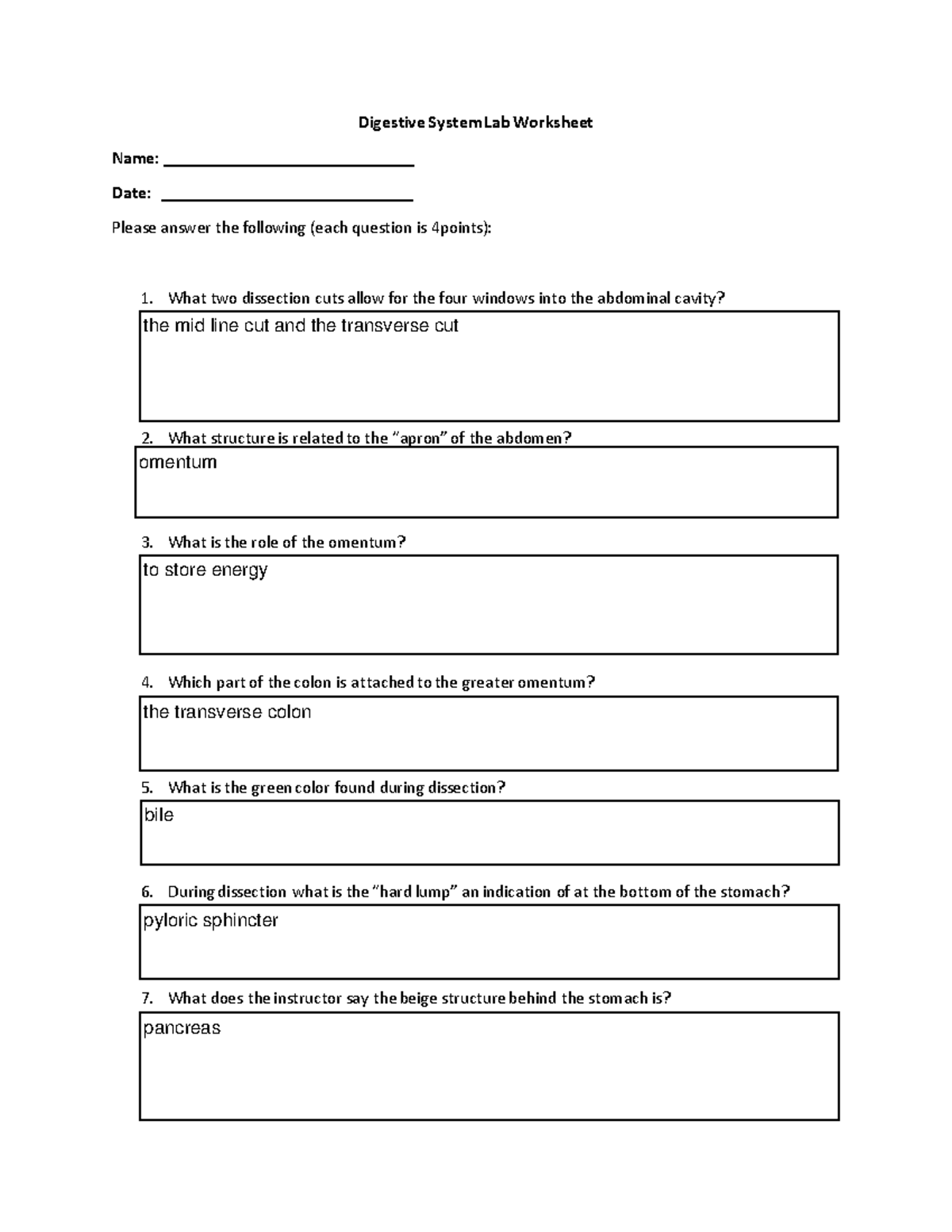 Digestive+system+lab+worksheet - Name ...