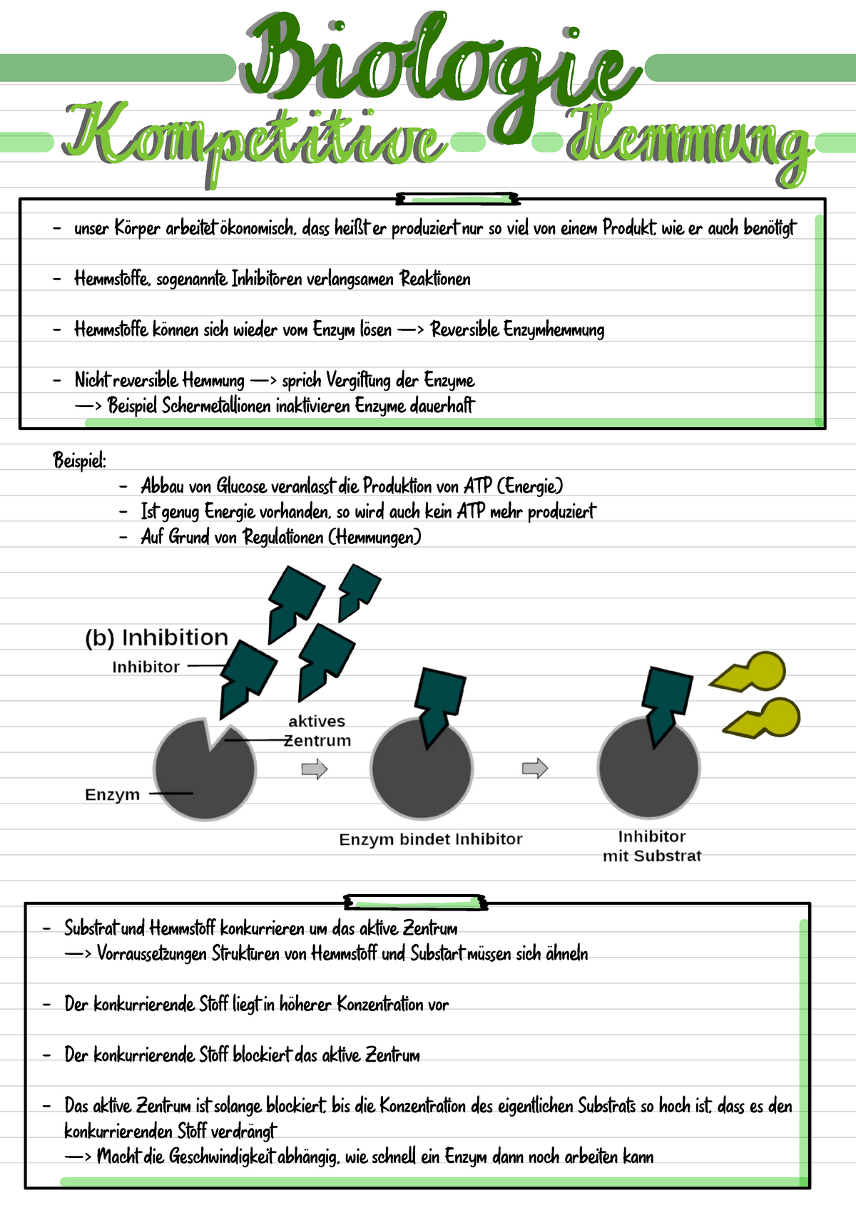 Enzymatik 10 - Wie Enzyme Funktionieren Hemmungen Und Verbindungen Zu ...