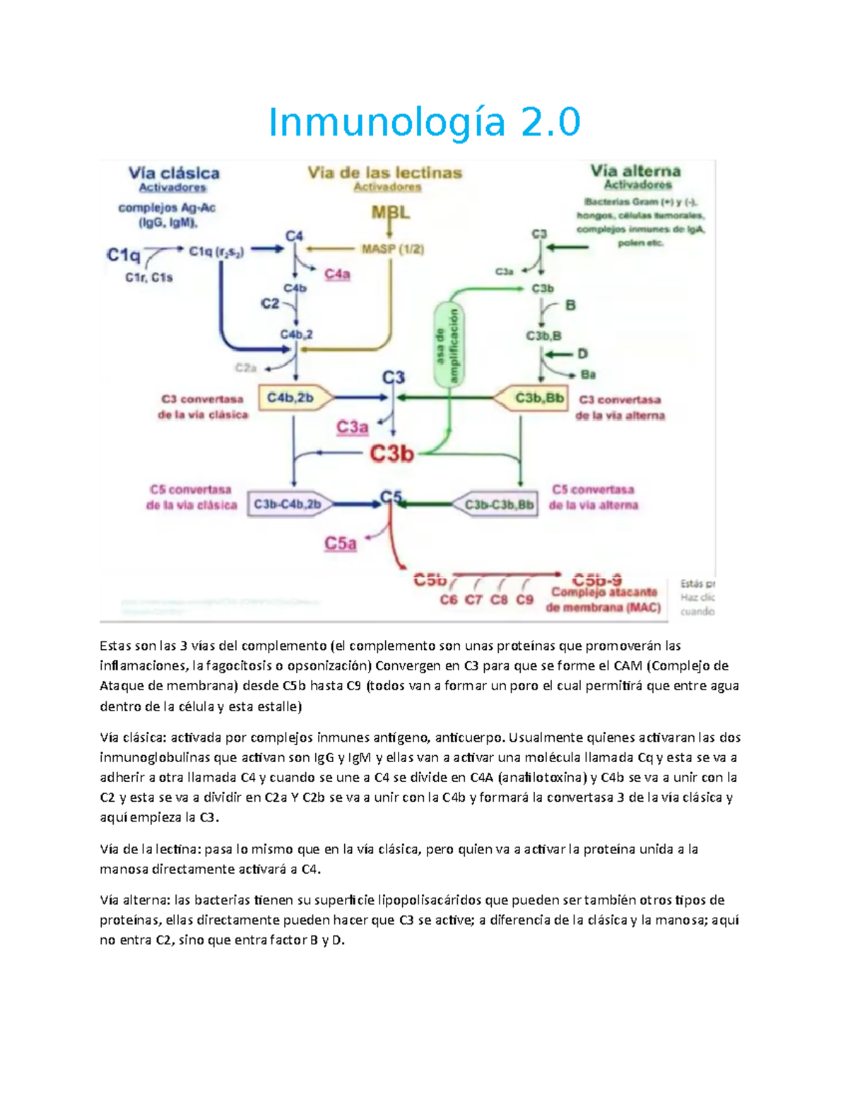 Primeros Temas Dados En La Clase De Inmunología - Inmunología 2. Estas ...