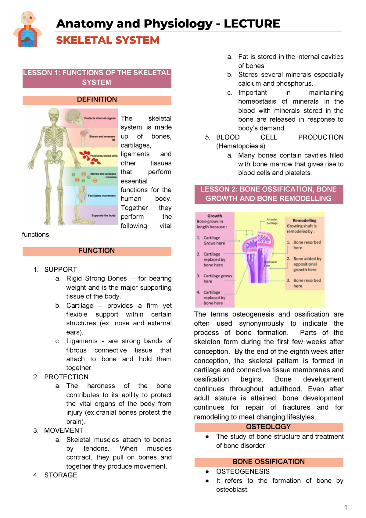 ANATOMY AND PHYSIOLOGY LECTURE - Chemistry - Studocu