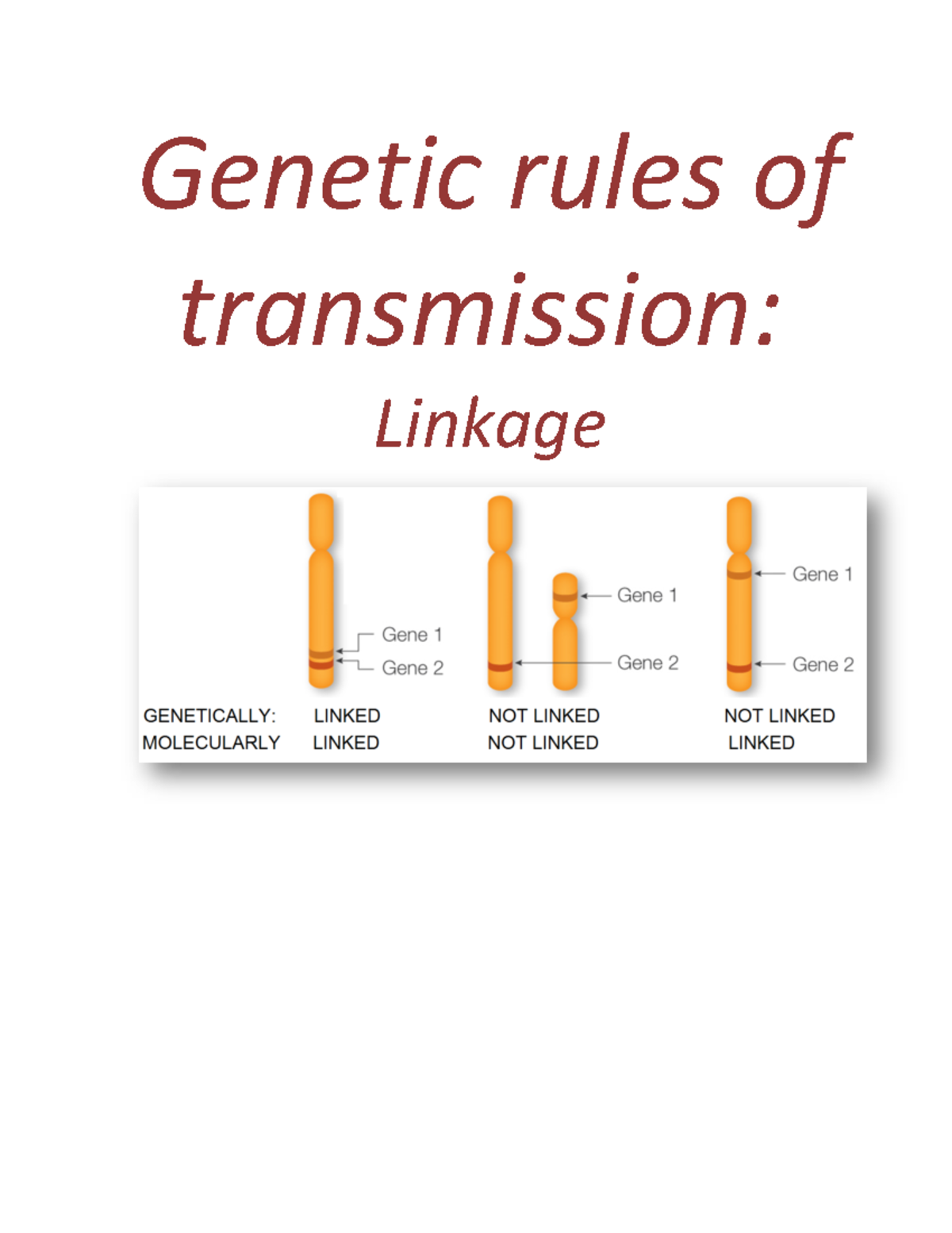 1-24 Transmission patterns- Linkage - Genetic rules of transmission ...