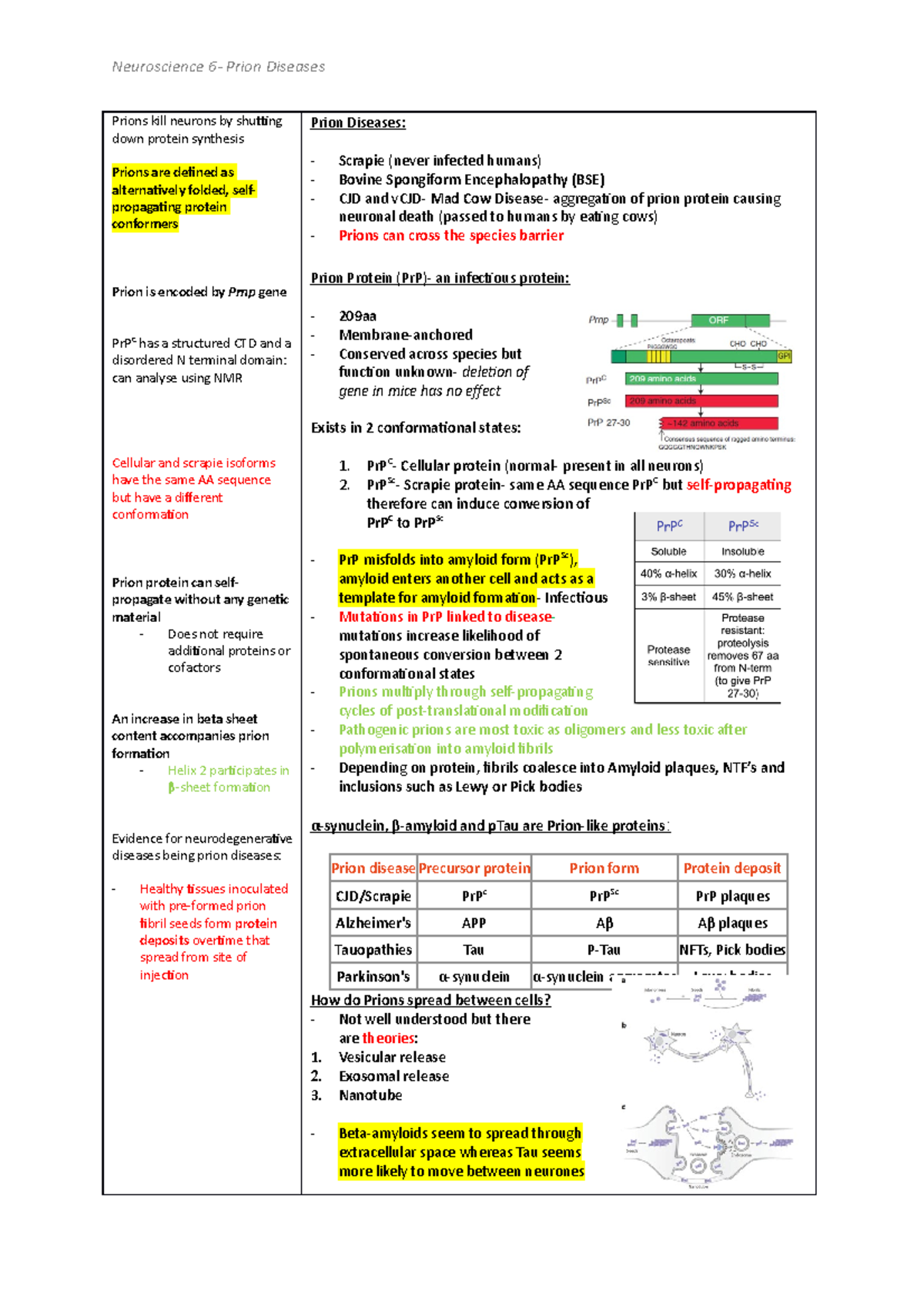 Prion Diseases 1 Neuroscience 6 Prion Diseases Prions kill neurons
