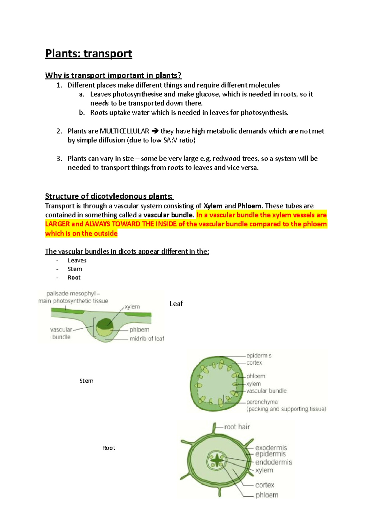 plants-transport-lecture-notes-plants-transport-why-is