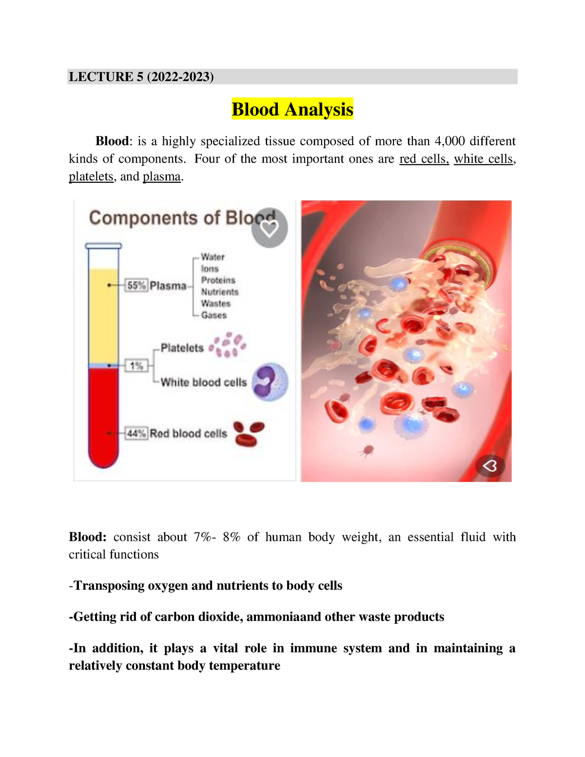 blood-analysis-lecture-5-2022-2023-blood-analysis-blood-is-a