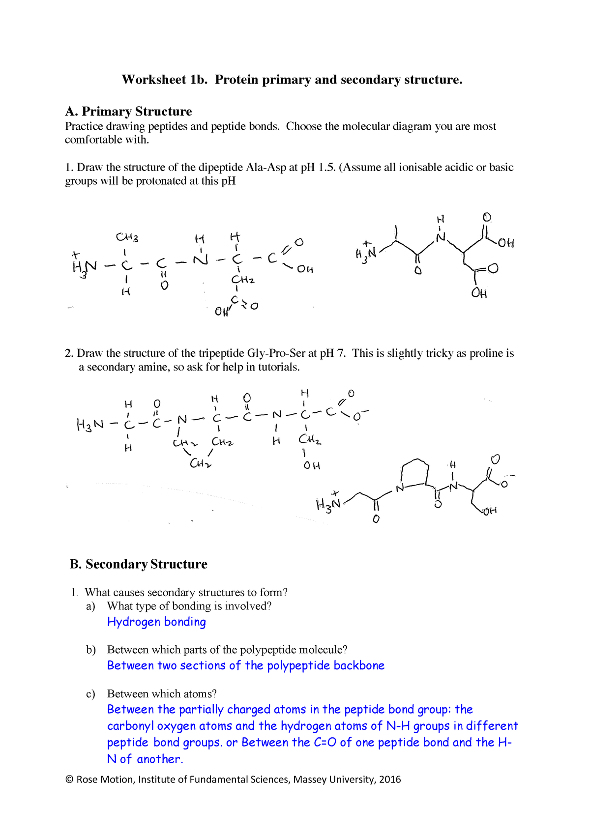 3 Protein Structures Answer Key