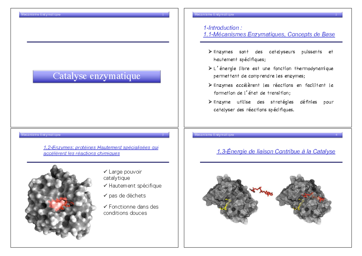 NEW CM 6 Mécanismes Enz-R - Catalyse enzymatique ####### 1-Introduction ...
