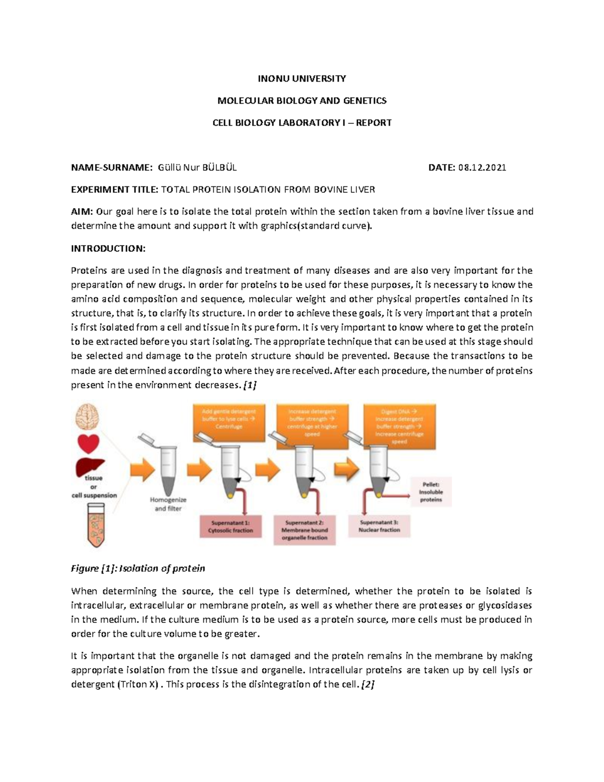 Cell Biology Lab I - Report - Güllü Nur Bülbül - Gamze Çakır - Inonu ...