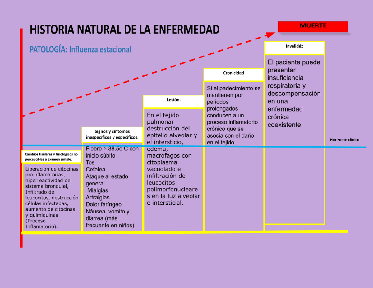 Historia Natural De La Enfermedad Influenza Estacional Taller De Integraci N Studocu