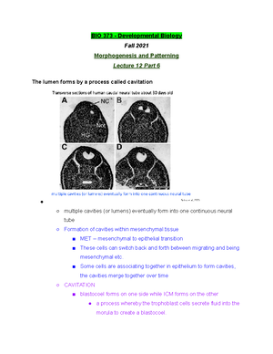 BIO 373 Lecture 7 Part 6 - Fall 2021 - BIO 373 - Studocu